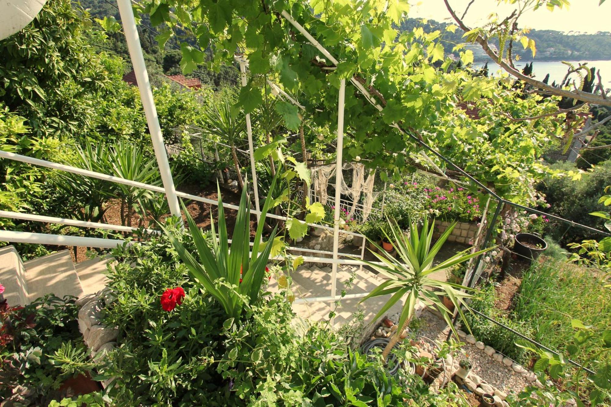 Lopud Apartments Cervelin חדר תמונה
