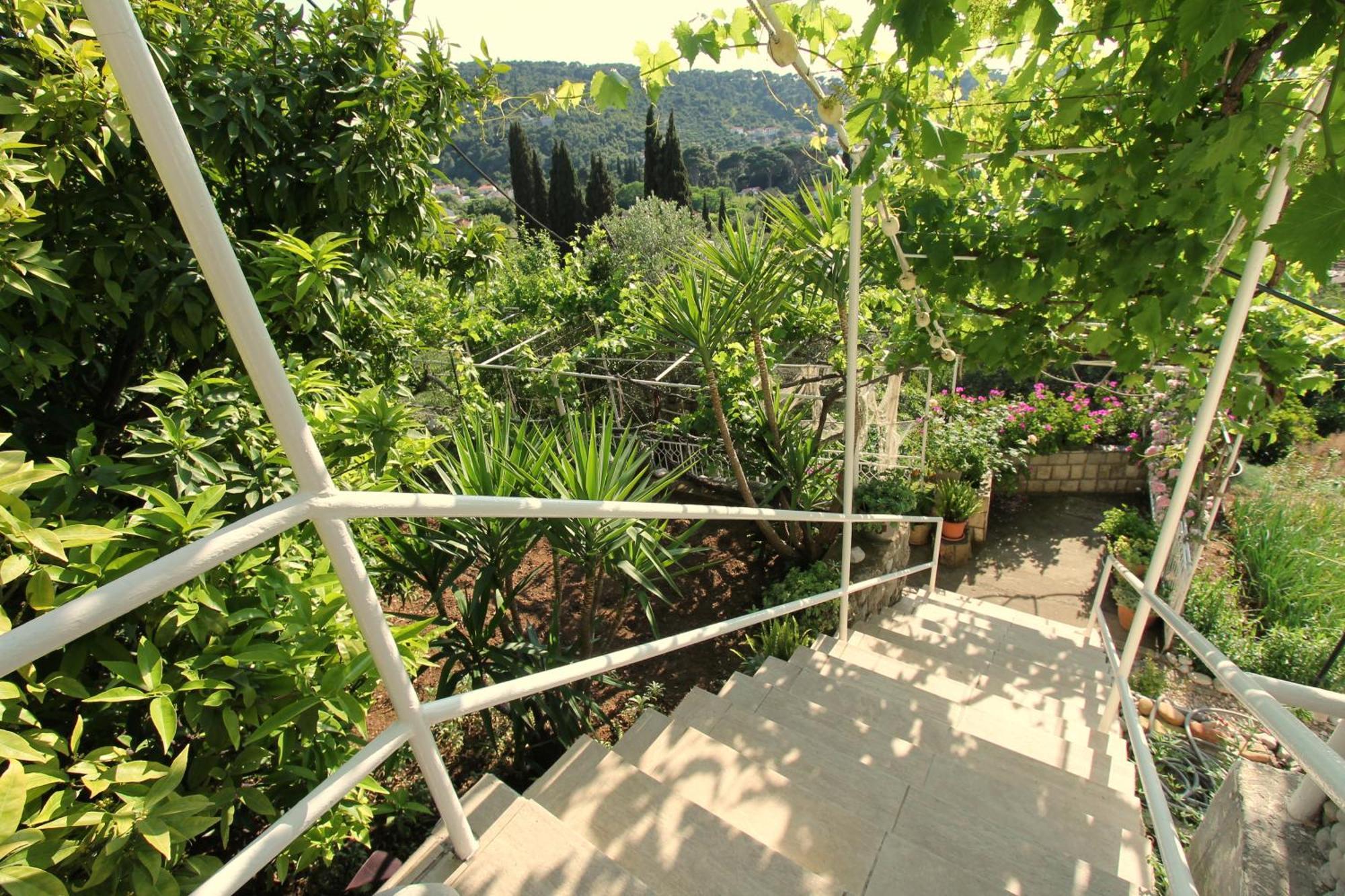 Lopud Apartments Cervelin מראה חיצוני תמונה