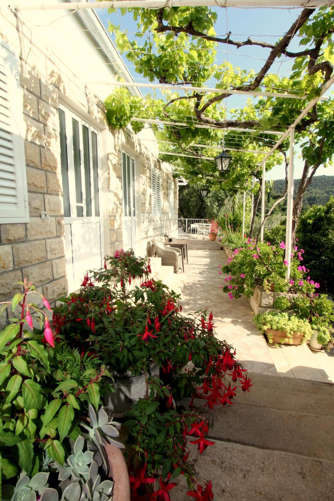 Lopud Apartments Cervelin מראה חיצוני תמונה
