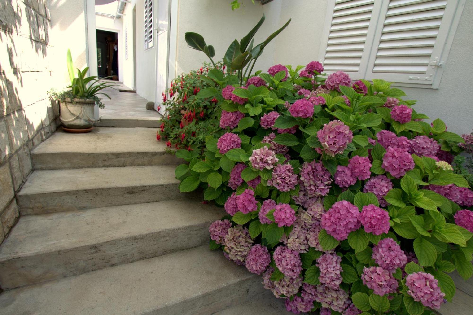 Lopud Apartments Cervelin חדר תמונה